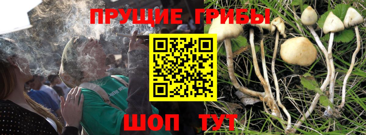 Псилоцибиновые грибы Magic Shrooms Чистополь